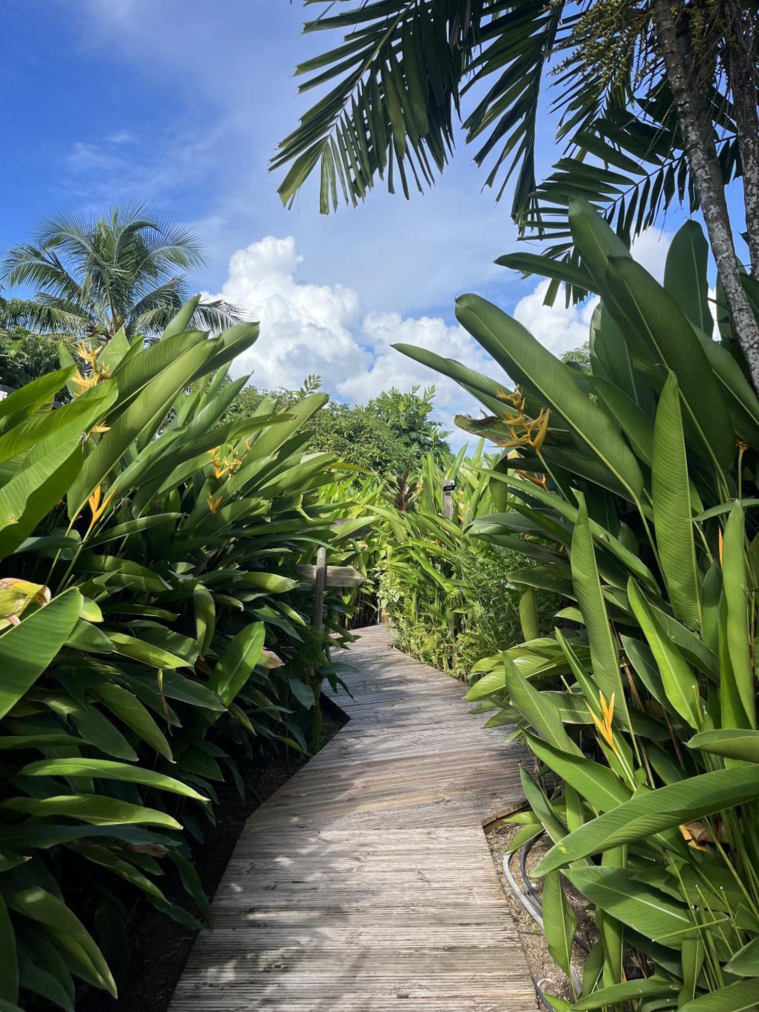 Eden Paradise Ecolodge & Spa Sainte-Luce Eksteriør bilde