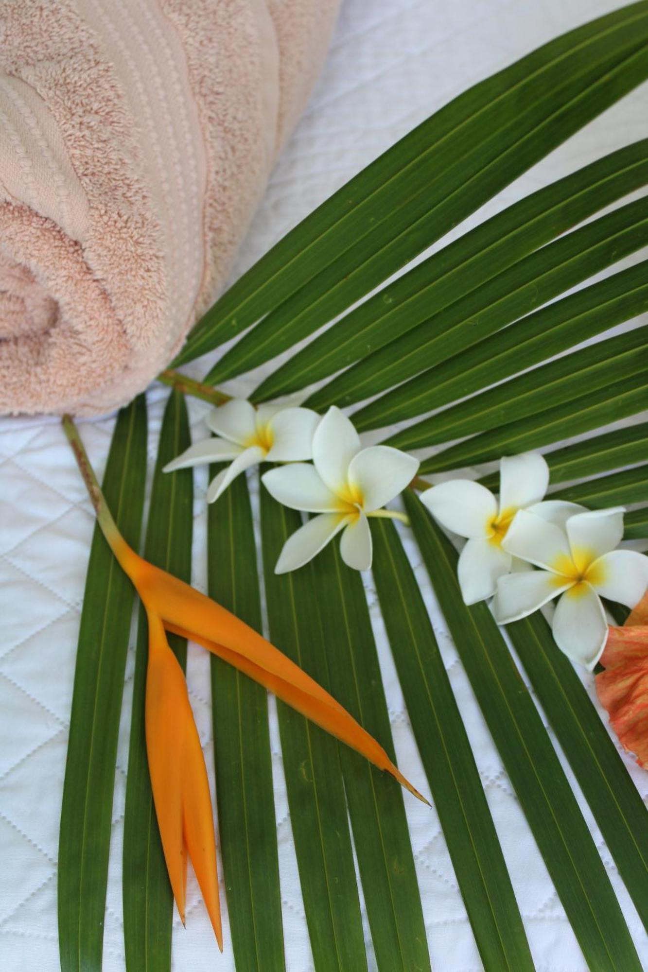 Eden Paradise Ecolodge & Spa Sainte-Luce Rom bilde