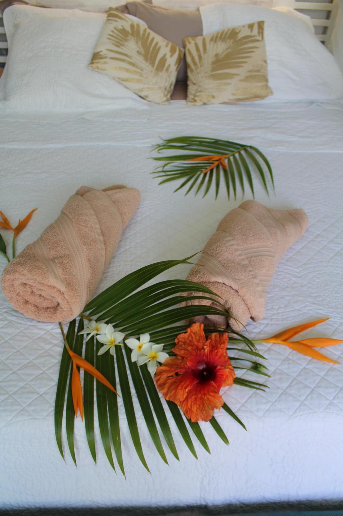 Eden Paradise Ecolodge & Spa Sainte-Luce Rom bilde