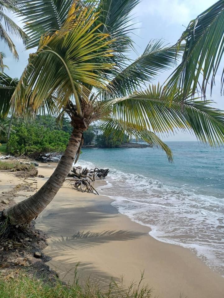 Eden Paradise Ecolodge & Spa Sainte-Luce Eksteriør bilde